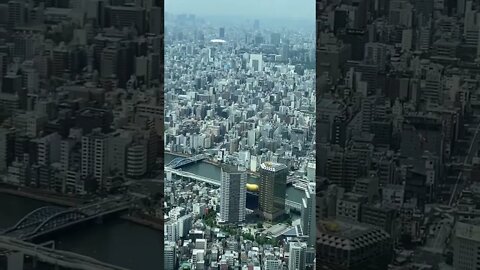 Tokyo tower 🗼 and population view 👇