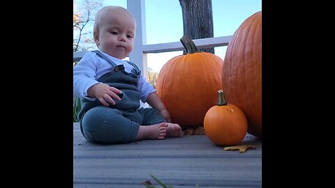 A Boy and Acorn and a Pumpkin