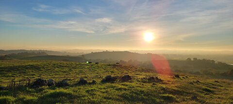 point reyes Cliffside beast style v1