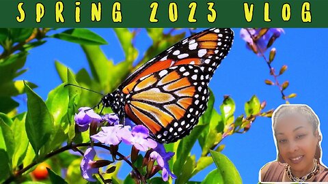 Spring 2023 Vlog