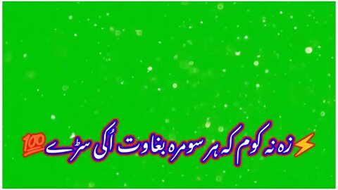 Green Screen Pashto Poetry zameer khan zameer