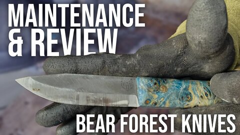 How to Maintain a Fix Blade | Bear Forest Knife Review | ON Three