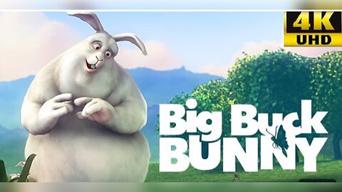 Cartoon about the rabbit Big Buck Bunny in 4K Ultra HD Cartoon about a rabbit Big Buck Bunny