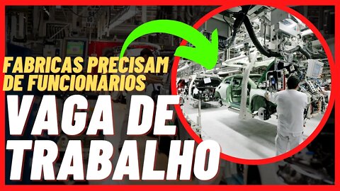 TRABALHO NA FÁBRICA EM PORTUGAL | vaga de trabalho em Portugal Águeda | @Negritinh Pelo Mundo