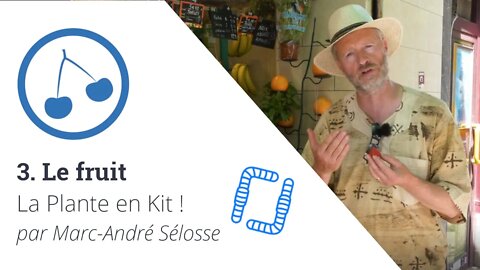 La Plante en Kit ! Ep3 - Le fruit, avec Marc-André Sélosse