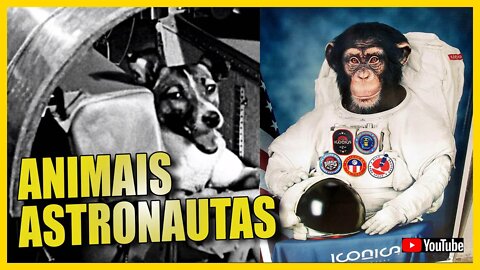 ASTRONAUTA ANIMAL, O QUE VOCÊ NEM IMAGINAVA SOBRE O INÍCIO DA CORRIDA ESPACIAL [PODCAST NERD AOS50]