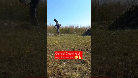 General Cleaning on My Homestead😁#shorts #short #shortvideo #shortsvideo #farming #food #viral #like