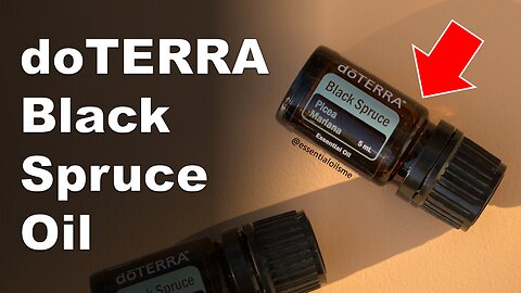 doTERRA Black Spruce Essential Oil Benefits and Uses