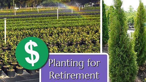 Backyard Nursery as a Retirement Activity