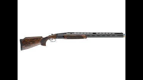 FAIR Fossari Boss Action Competition Shotgun