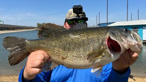 9 POUND BASS (MY BIGGEST BASS IN 5 YEARS!)