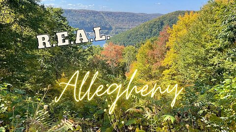 Beautiful Fall Time Hike To Our Final Scenic Destination in Allegheny National Forest