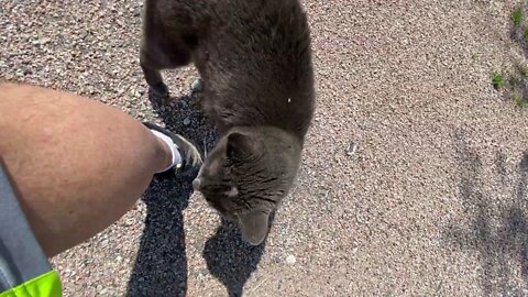 Walking In Texas - Discussing Current Events & Trees & Critters