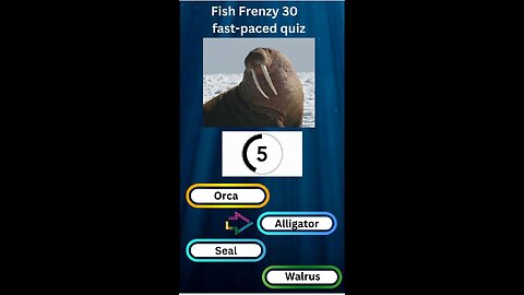 Fish Frenzy 30 A fast-paced quiz