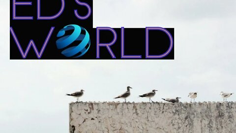 Ed's World #38: The Philosophy of Current Events with Anavultus