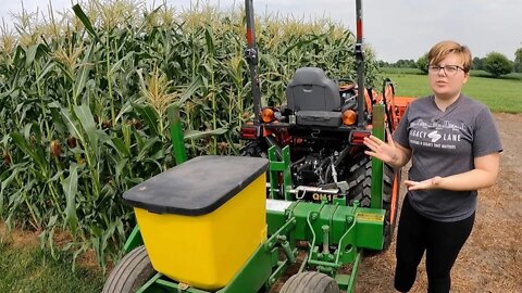 Sweet Corn PILLAGED! Installing a Fence and Planting More, Kubota LX3310 John Deere Planter