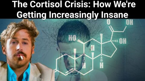 Paul Town || The Cortisol Crisis: How We're Getting Increasingly Insane