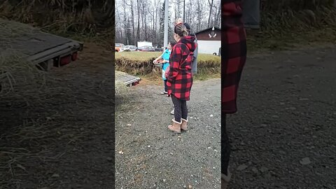 Halloween Hay Ride, Sutton, Alaska