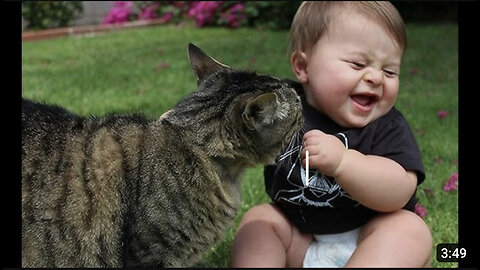 Funny Babies Laughing Hysterically at Cats Compilation