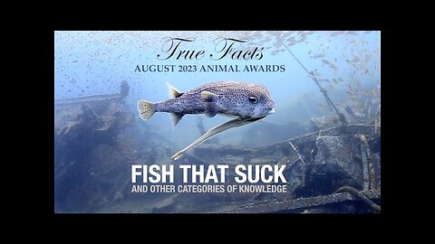 True Facts: Fish That Suck #FISH