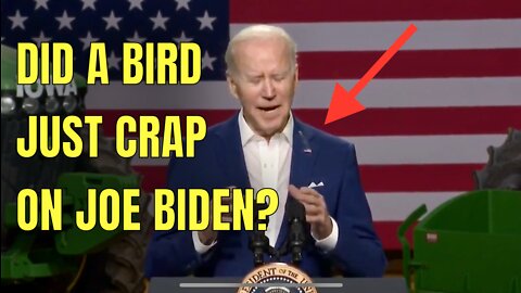 Watch a Bird Crap on Joe Biden today! 😆💩😆💩