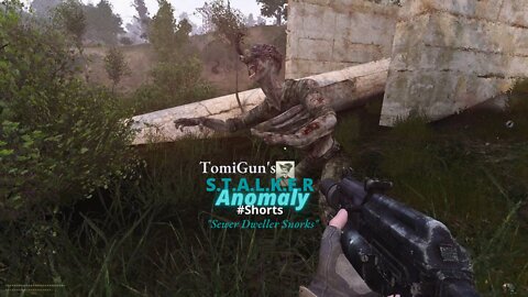 Sewer Dweller Snorks - S.T.A.L.K.E.R Anomaly Short Scene