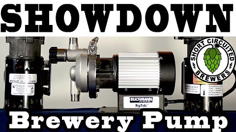 Blichmann Riptide Pump Review and comparison to March and Chugger Pumps #brewerypumpshowdown