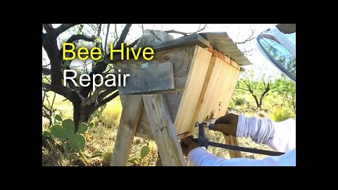 Bee Hive Repair - How to fix a Top Bar Hive