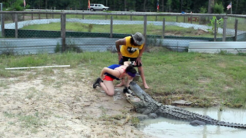 The brave girl kisses the big crocodile 14 Foot