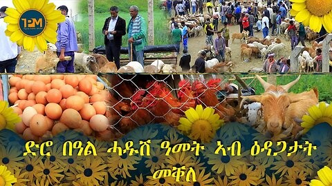 ድሮ በዓል ሓዱሽ ዓመት ኣብ ዕዳጋታት መቐለ