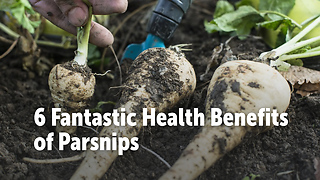 6 Fantastic Health Benefits of Parsnips