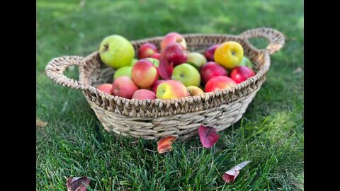 Apple Dumplings | Making Apple Dessert