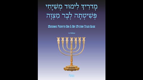 Bar Mitzvah Study Guide Week 10