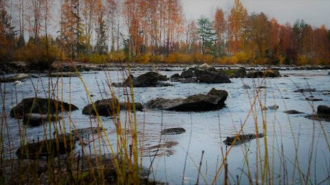 Autumn @ Saarikoski, Kuhmo