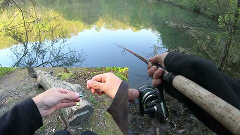 bass and bluegill at the pond