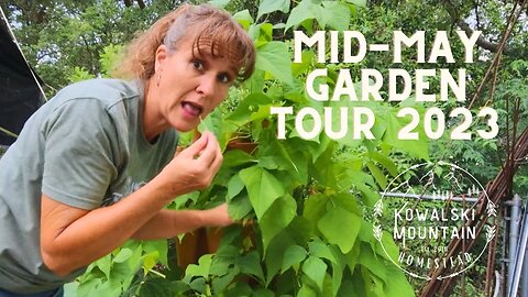 2023 Harvest Season Begins- Mid May Garden Tour | Garden Zone 9A