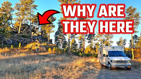 We Saw People Living In The National Forest | Ambulance Conversion Life