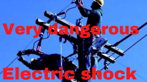 very dangerus electric shock animals video 2021