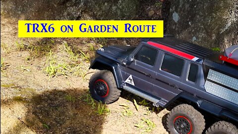 TRX6 on the Garden Route