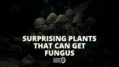 Surprising Plants That Can Get Fungus #shorts