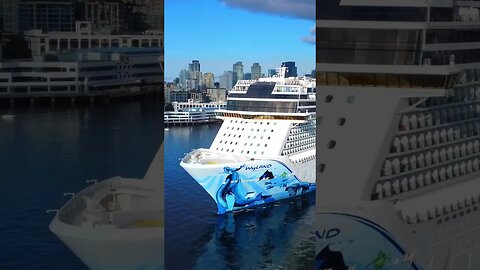 Perfect day capturing the Norwegian Bliss #cruiseship #shorts