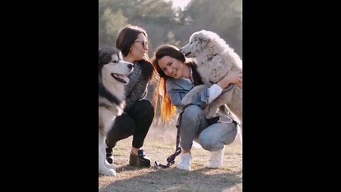 girls playing with dogs ❣️❣️