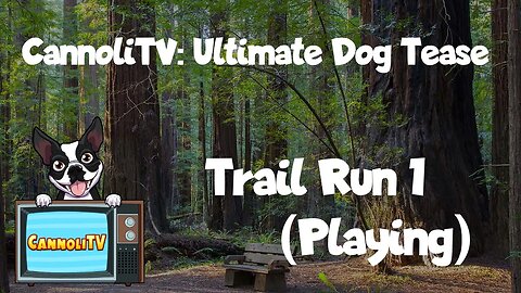 CannoliTV Video Library: Relaxing and Calming Dogs Trail Run - 01 #dogtraining #dogwalkinglife #pup