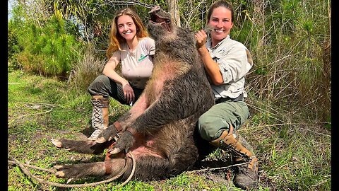 Girls Wrestle Big Wild Boar!!