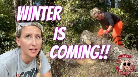 Winter is coming! Taking my 40 yr old Mini Mac and Stihl MS 440 Magnum for a spin. (VLOG)