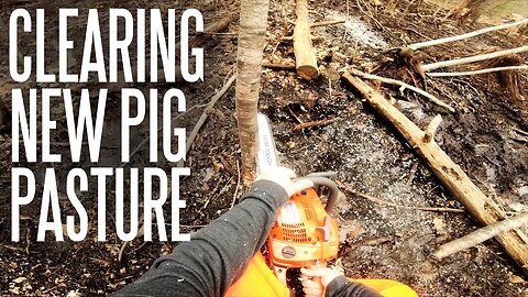 Switching Up The Forest Pastured Pork Paddock - Clearing Woods For A New Pen