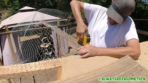 New Chicken Coop par2