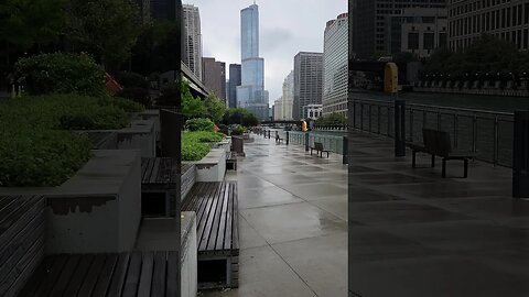 Trump Tower from the Riverwalk!