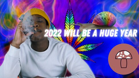 These States Could Legalize Marijuana Or Psychedelics In 2022