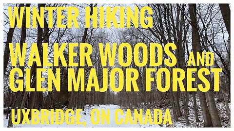 Walker Woods & Glen Major Forest | Snow-covered Forest | Uxbridge, ON 🇨🇦| Hikingvlog | 4K